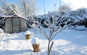 Снег является утеплителем и не всегда вредит