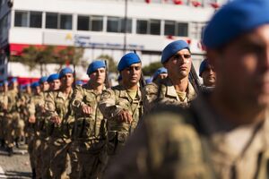 Турция готова направить войска в Украину только при условии четкой миссии миротворческого контингента
