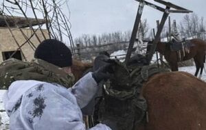 Противник встановив Starlink на коня, зазначив експерт