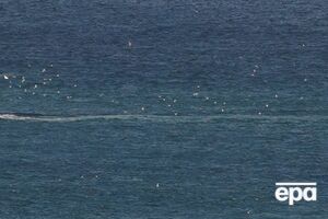 Захарова висловила "вдячність керівництву США" за звільнення двох росіян