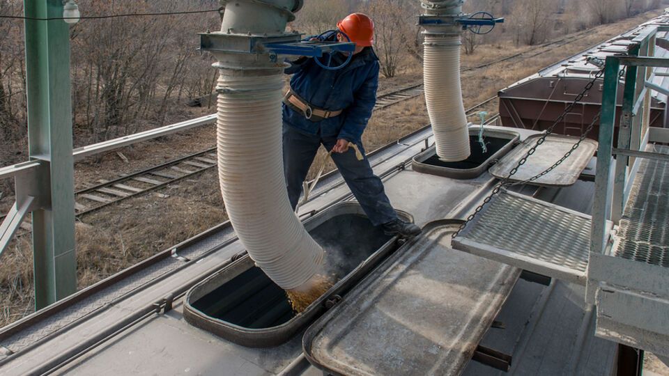 Перевозка зерновых по железной дороге существенно уменьшилась в 2025 году