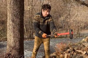 Шуров: Вовремя хозяин дрова наскирдовал!