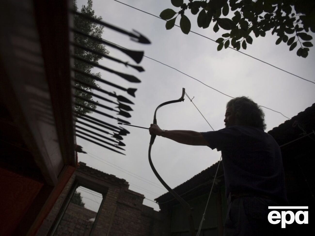 Исследователи обнаружили на наконечниках стрел следы растительного яда Boophone disticha