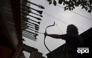 Исследователи обнаружили на наконечниках стрел следы растительного яда Boophone disticha