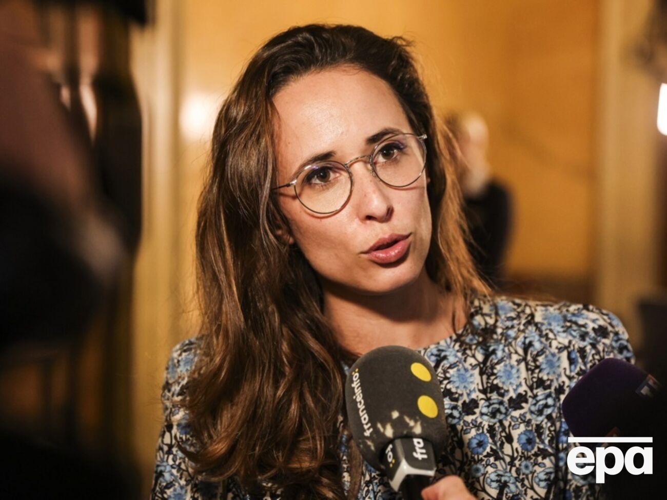 Гетте считает, что Франция должна планово выйти из НАТО