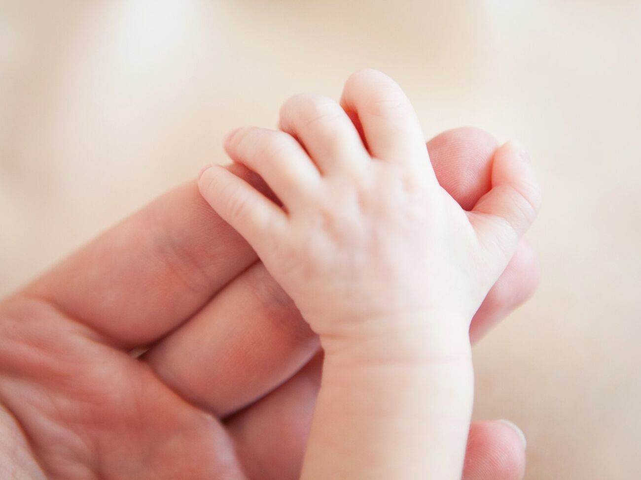 Основатели стартапа заявили, что хотят повысить точность и масштаб процедур и сделать их доступнее