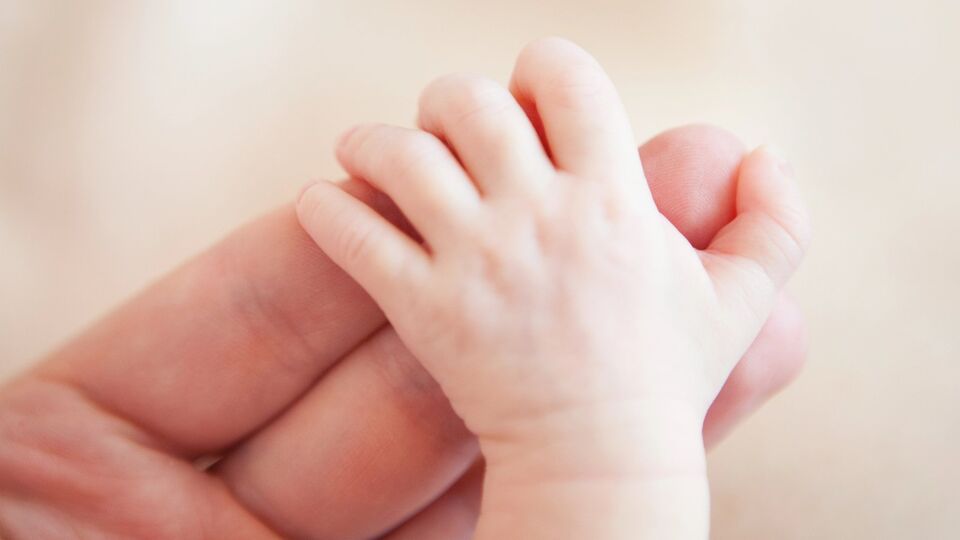 Основатели стартапа заявили, что хотят повысить точность и масштаб процедур и сделать их доступнее