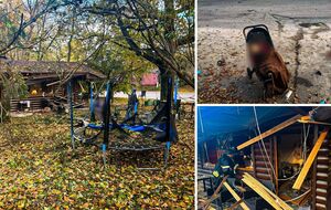 Загинули немовля у візочку і ще п'ятеро людей. Наслідки удару РФ по парку в селищі під Харковом