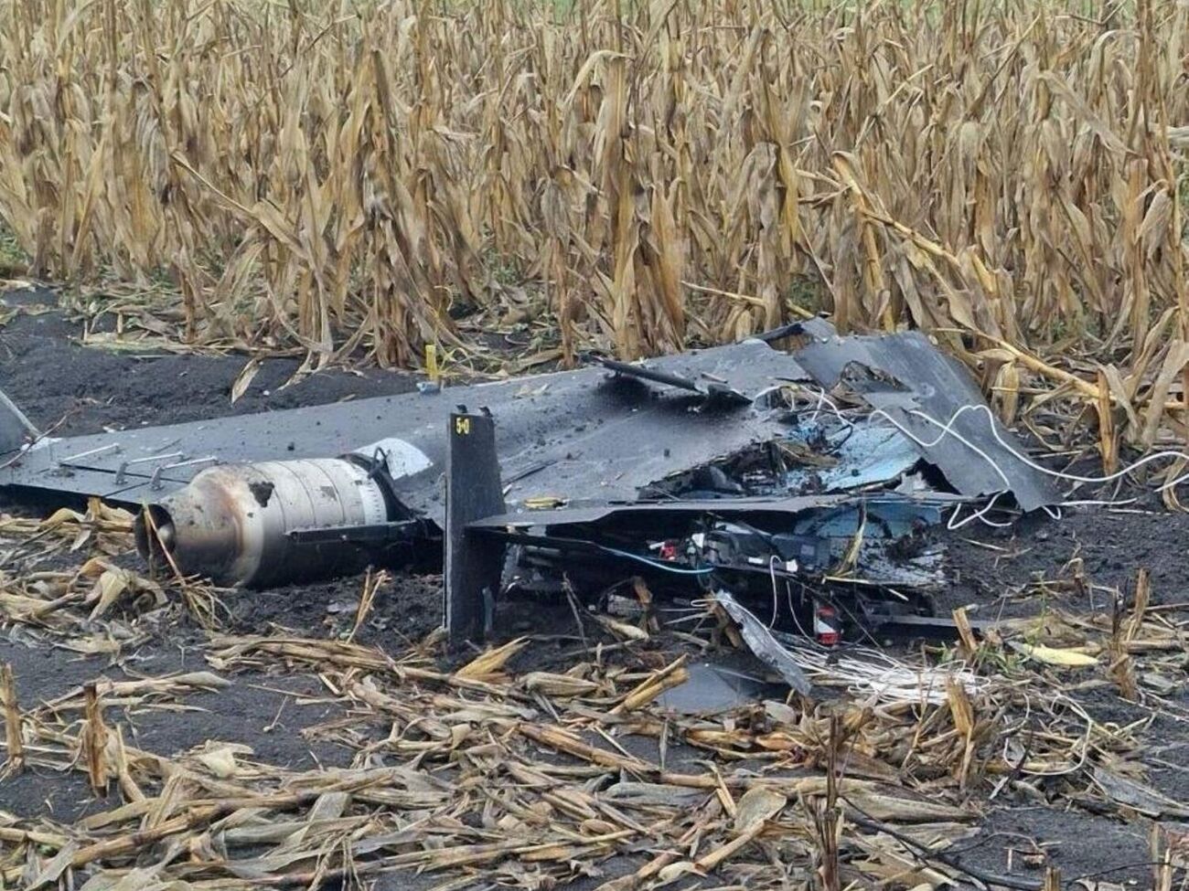 У Молдові дрон упав за 100 м від житлового будинку. Що відомо