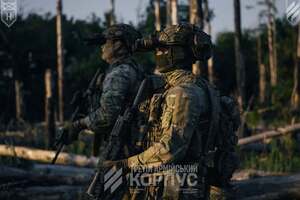 "Операція "Вівальді" ще не завершена". Зеленський розкрив, скільки км² вдалося деокупувати