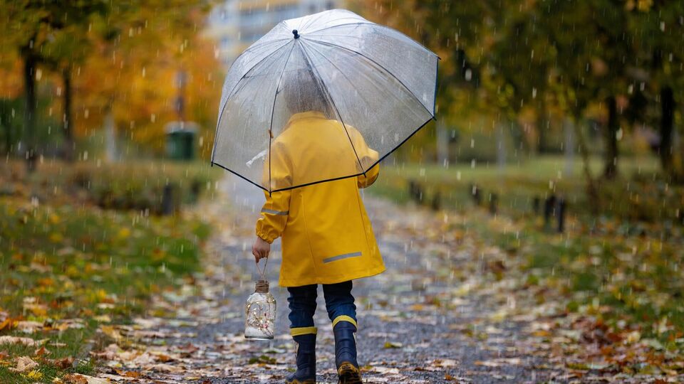 Від дощу до +12 °С. Якою буде погода в Україні в останній день жовтня