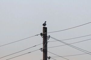 ДТЭК за неделю восстановил электроснабжение для почти 600 тыс. семей после обстрелов