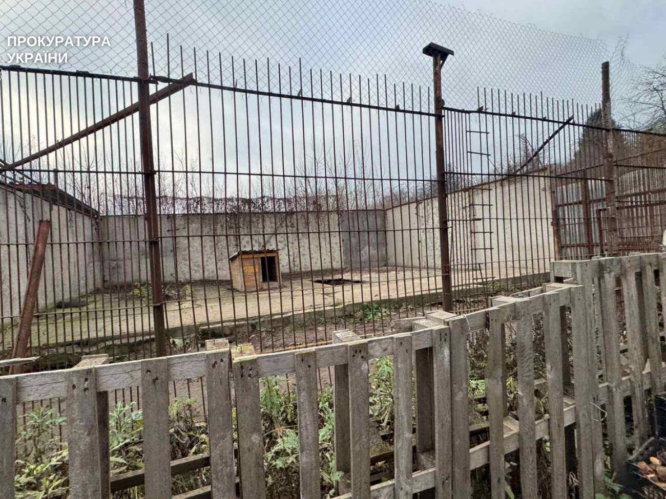 Прокуратура сообщала о смерти животных в зверинце