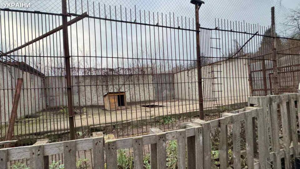 Прокуратура сообщала о смерти животных в зверинце