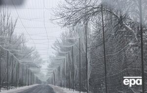 Сети защищают дороги от ударов дронов