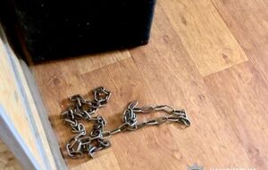 Поліція показала ланцюг, імовірно, з дитбудинку