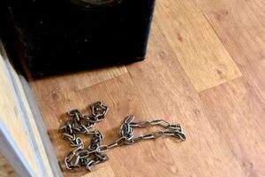 Полиция показала цепь, вероятно, из детдома