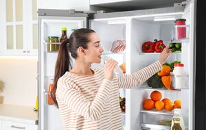 Во время отключений света нужно поменьше открывать дверь холодильника