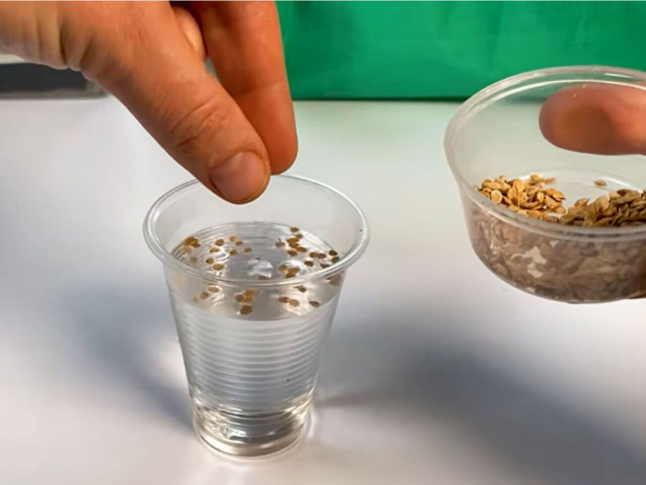 После замачивания пустые семена останутся плавать на поверхности