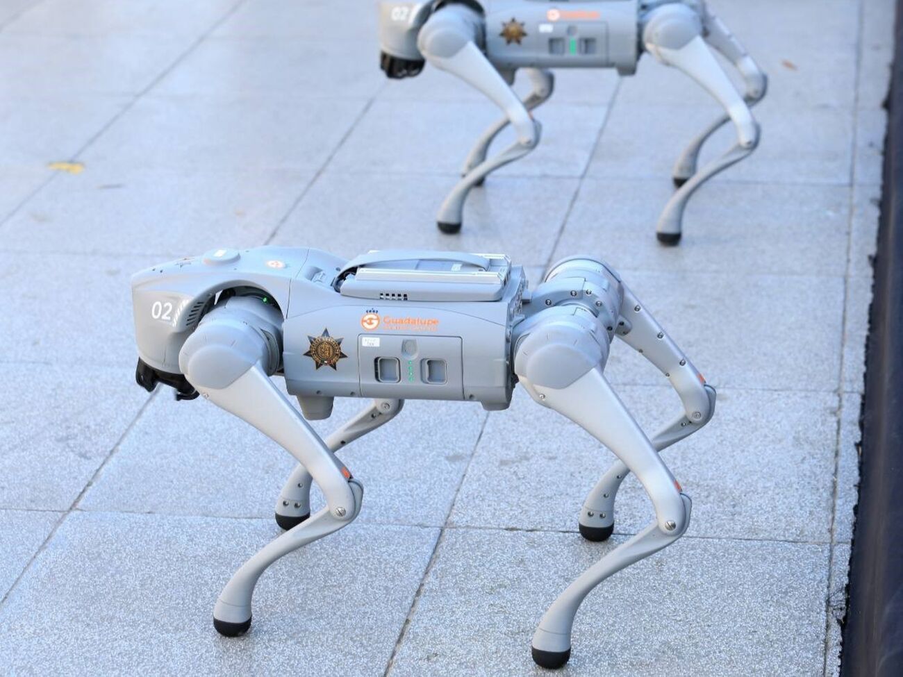 Вартість чотирьох роботів-собак – $145 тис.