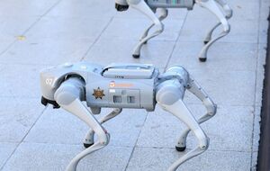 Вартість чотирьох роботів-собак – $145 тис.