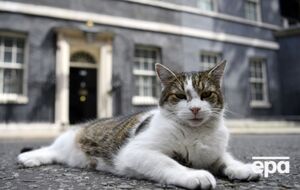 Ларрі вітає гостей, стежить за безпекою і любить відпочивати на меблях