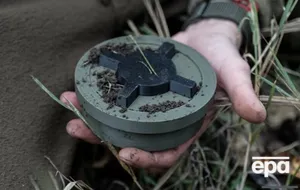 Міни в Польщі планують розміщувати вздовж східного кордону