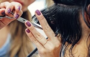 Для японського каре характерна висока симетрія, бездоганність і точність ліній