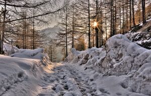 Приметы на Сретение отличаются в зависимости от региона