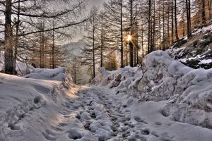 Приметы на Сретение отличаются в зависимости от региона