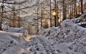 Прикмети щодо Стрітення відрізняються залежно від регіону