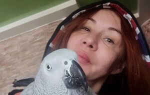 Вместо того, чтобы наслаждаться настоящей сказкой, мы смотрим две вещи