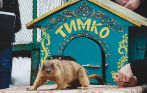 Тимка намекнул, когда будет весна