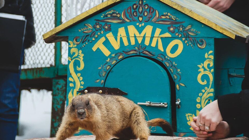 Тимка намекнул, когда будет весна