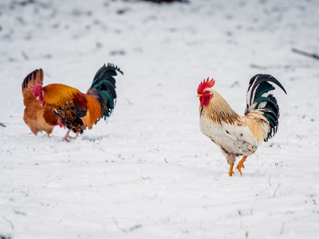 Антициклон принес сухую погоду и тянет холод прямо из Арктики