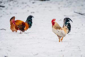 Антициклон приніс суху погоду й тягне холод просто з Арктики