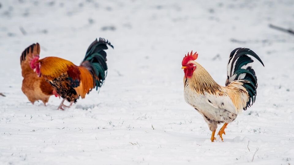 Антициклон принес сухую погоду и тянет холод прямо из Арктики