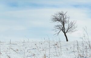 У полі в жодному разі не можна лягати чи сідати на землю