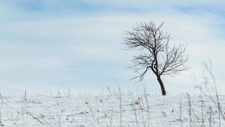 У полі в жодному разі не можна лягати чи сідати на землю