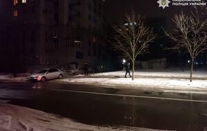 У поліції стверджують, що фігурант перебував у стані алкогольного сп'яніння