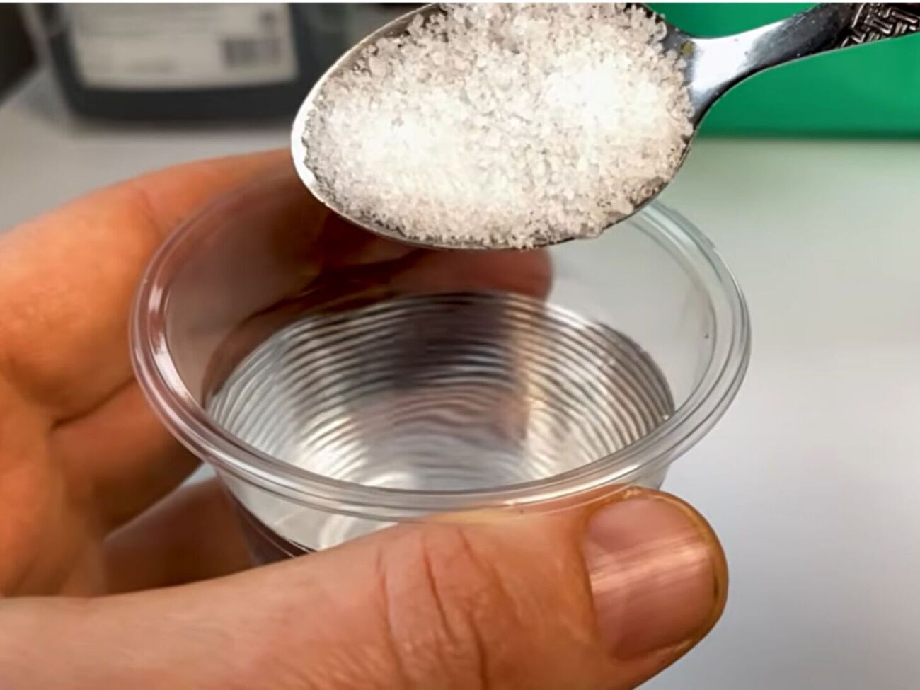 Промите в сольовому розчині насіння можна одразу висаджувати у ґрунт