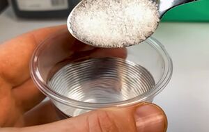 Промытые в солевом растворе семена можно сразу высаживать в грунт