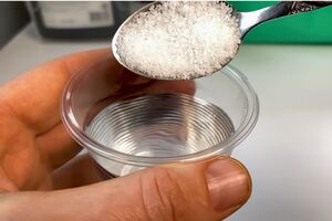 Промытые в солевом растворе семена можно сразу высаживать в грунт