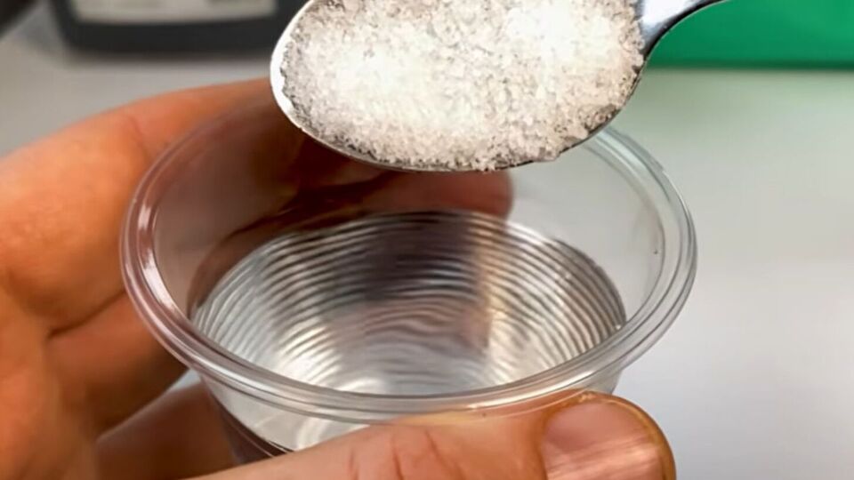 Промытые в солевом растворе семена можно сразу высаживать в грунт