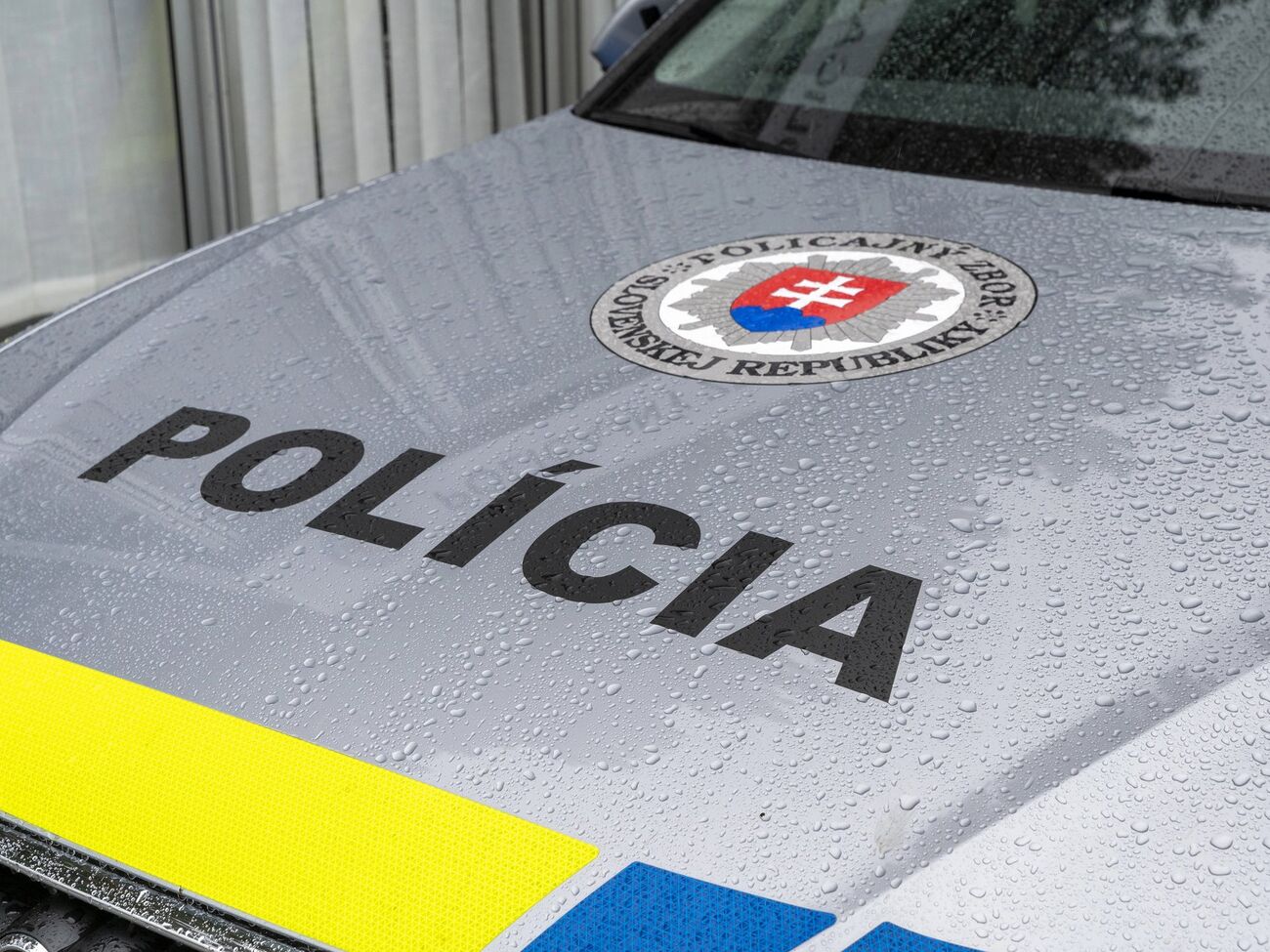 Словацький суд ухвалив рішення про взяття українця під варту