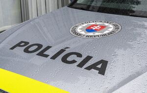 Словацький суд ухвалив рішення про взяття українця під варту