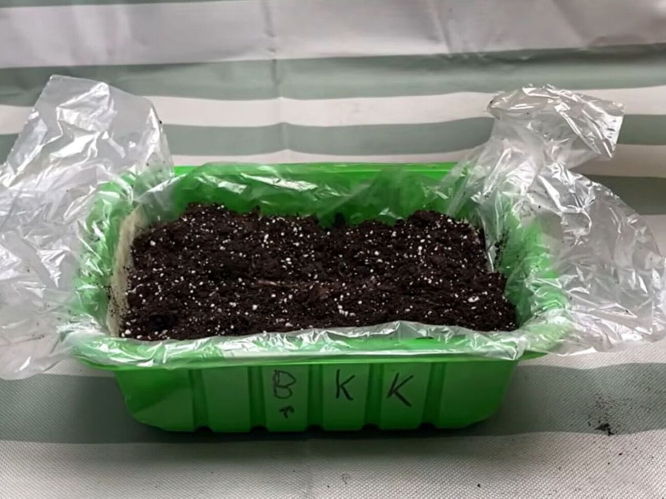 Якщо вікна вдома не виходять на південь, то краще цього року перець посіяти трохи пізніше, щоб розсада росла здоровою й не витягувалася