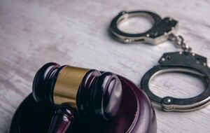 Фигурантку задержали, другие дети находятся с отцом