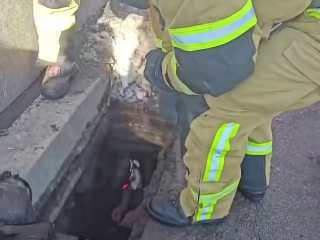 Патрульні й рятувальники виявили дітей у зливній каналізації на вулиці Хрещатик