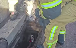 Патрульні й рятувальники виявили дітей у зливній каналізації на вулиці Хрещатик